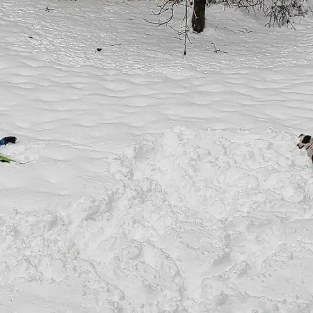 Idyllic Retreat Next To An Elven Forest