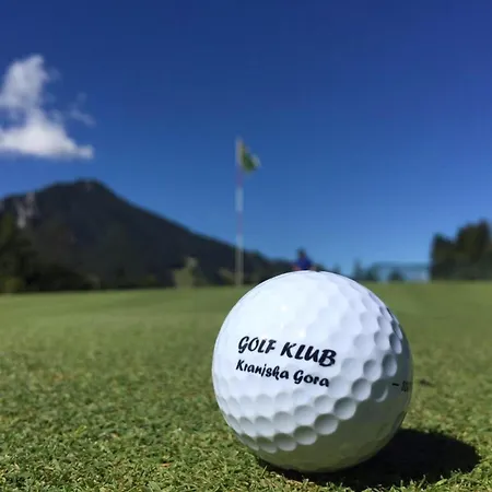 Idyllic Retreat Next To An Elven Forest Gozd Martuljek