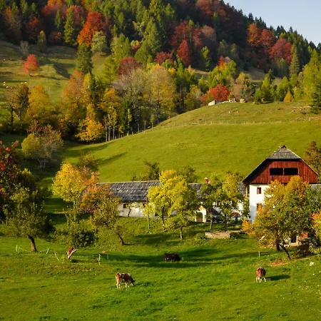 Apartamento Idyllic Retreat Next To An Elven Forest *