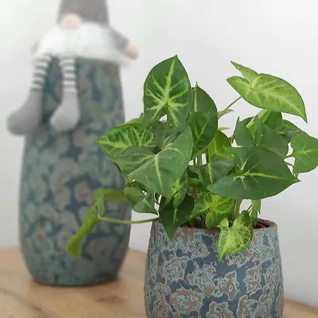 Idyllic Retreat Next To An Elven Forest * Gozd Martuljek