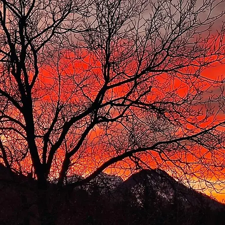 Idyllic Retreat Next To An Elven Forest