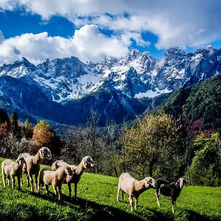 Idyllic Retreat Next To An Elven Forest Apartamento *