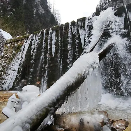 Idyllic Retreat Next To An Elven Forest * Gozd Martuljek