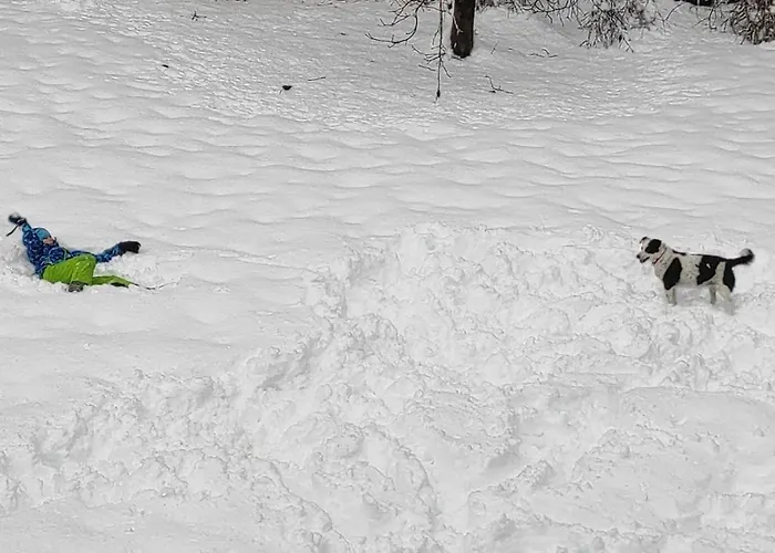 Idyllic Retreat Next To An Elven Forest