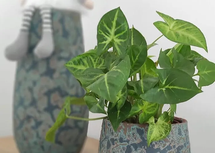 Idyllic Retreat Next To An Elven Forest * גוזד מרטולז'ק