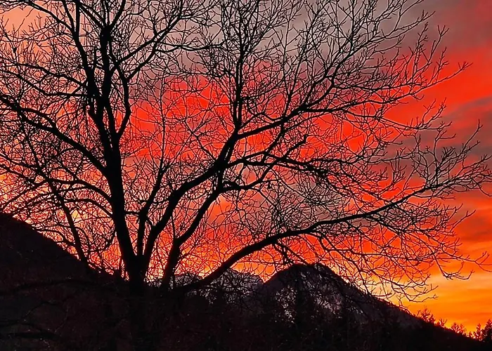 Idyllic Retreat Next To An Elven Forest