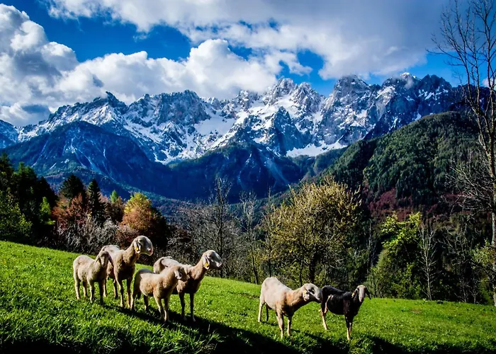 Idyllic Retreat Next To An Elven Forest דירה *