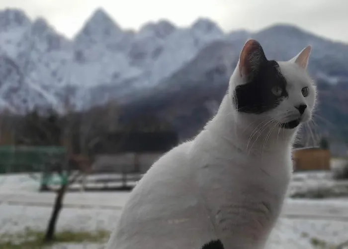Idyllic Retreat Next To An Elven Forest דירה גוזד מרטולז'ק