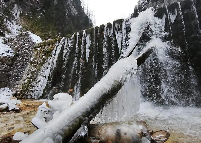 Idyllic Retreat Next To An Elven Forest * גוזד מרטולז'ק